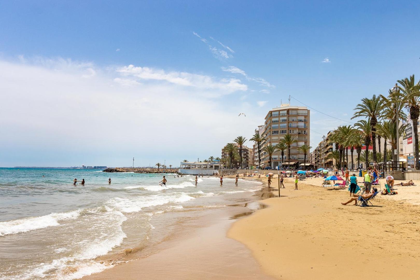 Appartamento Apartamento CONCORDIA Torrevieja Esterno foto
