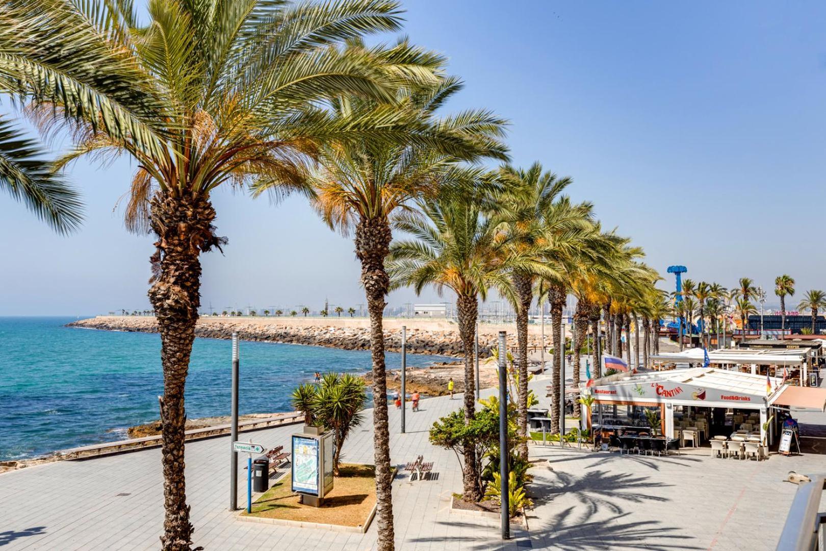 Appartamento Apartamento CONCORDIA Torrevieja Esterno foto