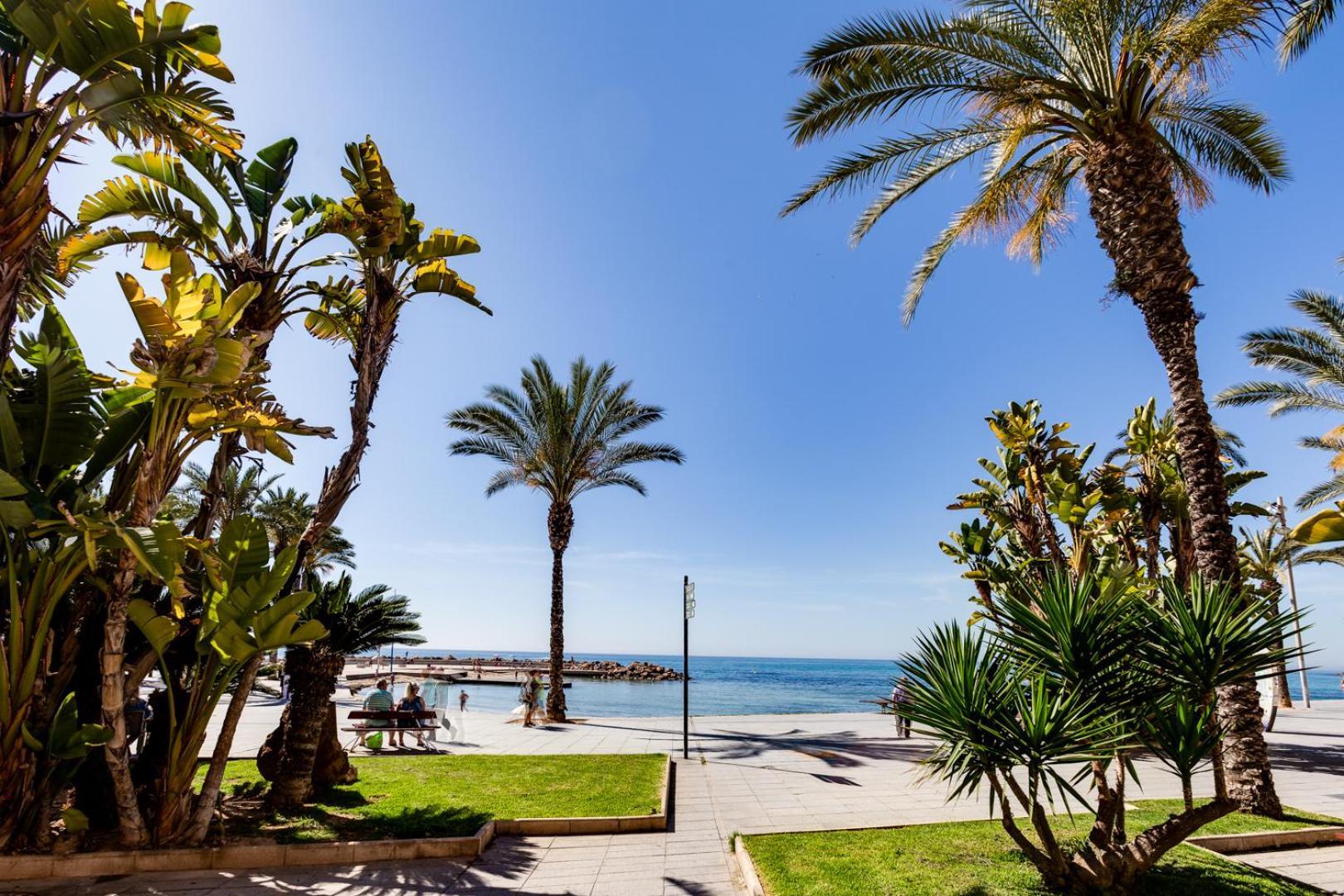 Appartamento Apartamento CONCORDIA Torrevieja Esterno foto